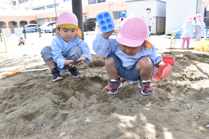 園児が砂場で型抜きをしている