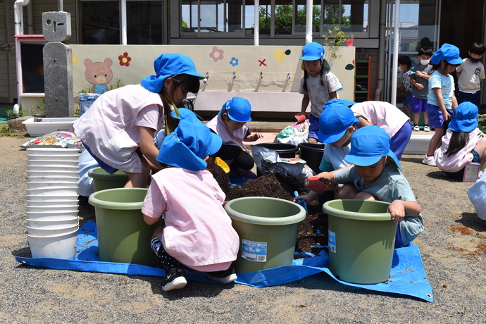 園児が植木鉢に土を入れている