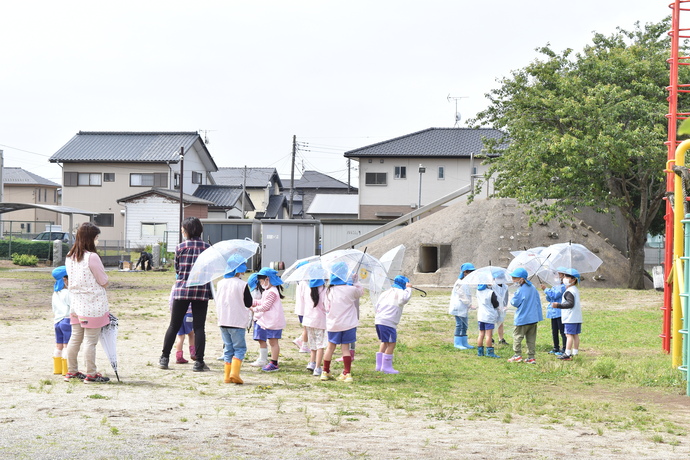 透明の傘をさして校庭を歩いている幼児達