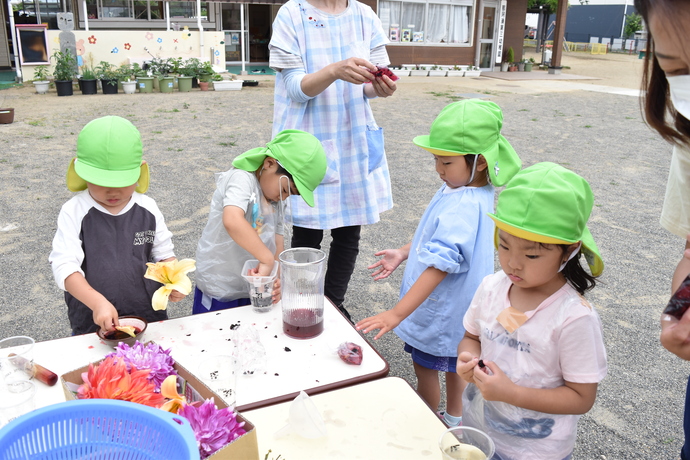 4、5人の園児が色水を作っている