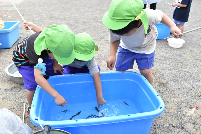 ザリガニを触る園児