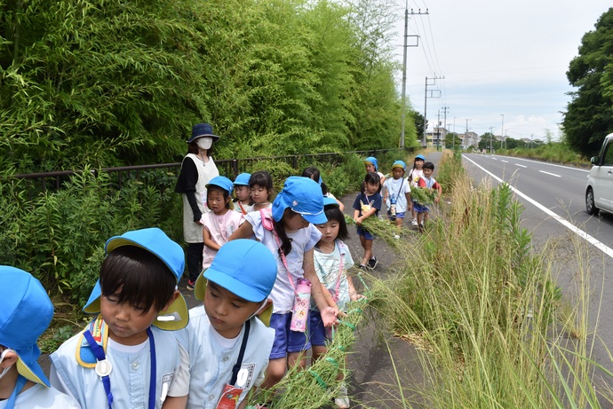 園児が笹竹を持っている