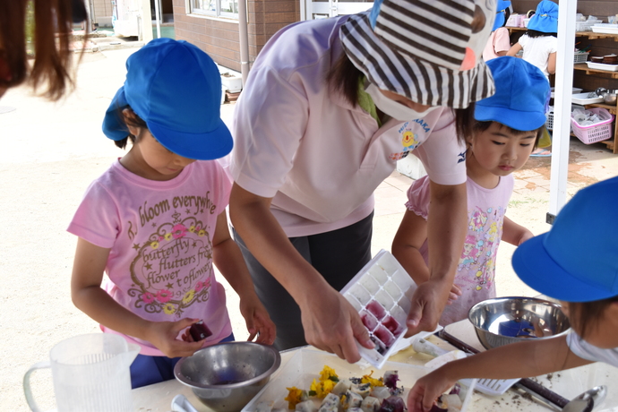 お花の氷を使って遊んでいる幼児