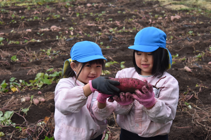 さつま芋を手に持つ2人の園児