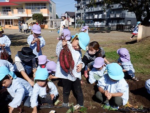 写真：いもほり