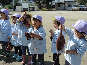 写真：いもほり