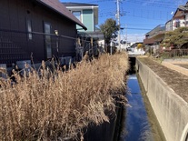 河川の除草など