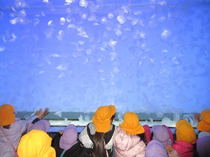 写真：水族館