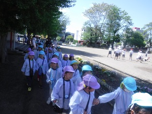 写真:小学校へ散歩