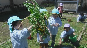 写真:小学校へ散歩