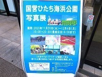 写真：国営ひたち海浜公園写真展