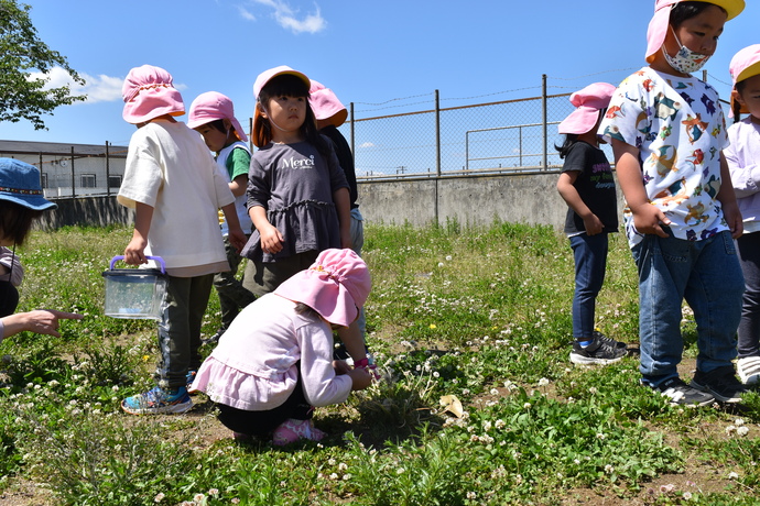 草原で虫探しをする園児たち