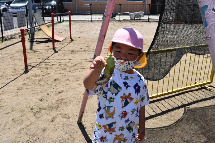 小さな大根を手に持つ園児