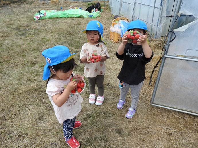 いちごカップを手に持つ園児