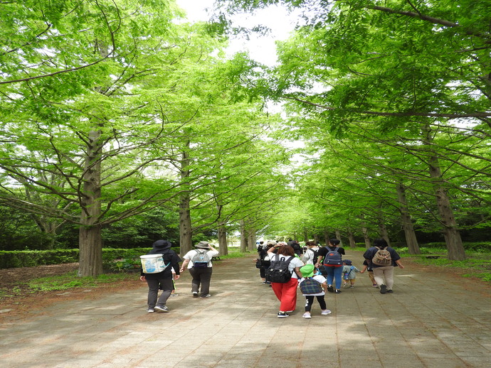 木立の中を歩く親子の列