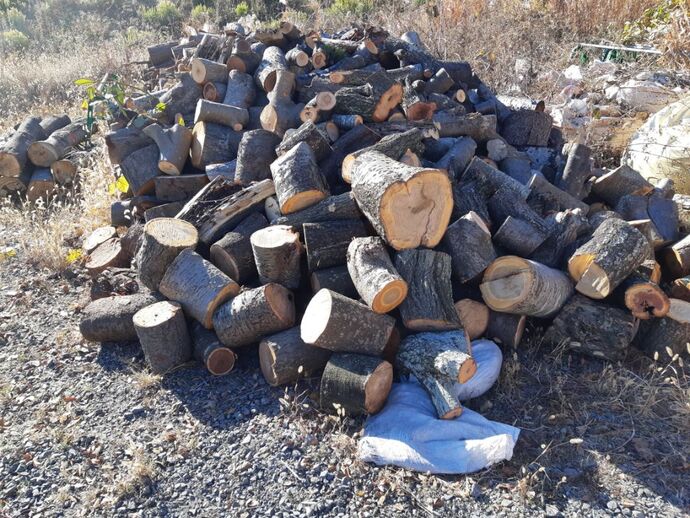 配布する丸太の写真