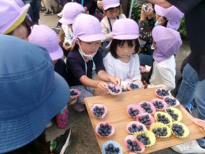 写真:ブルーベリー摘み