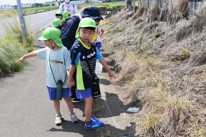 歩道のゴミを指指す園児