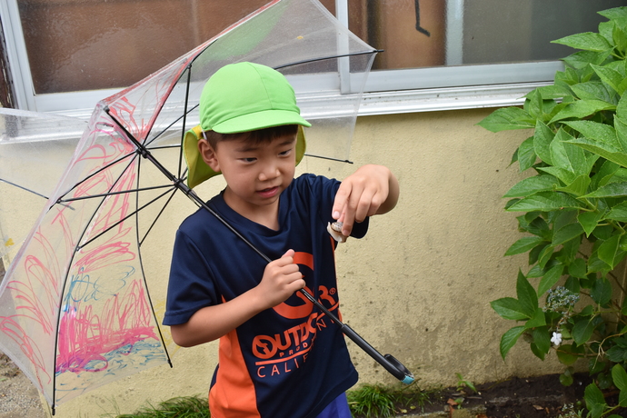 傘をさしてカタツムリを持つ園児