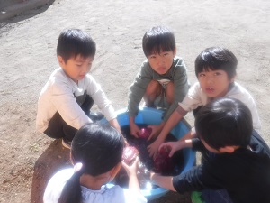 写真:芋煮会