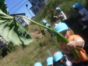 写真:芋煮会