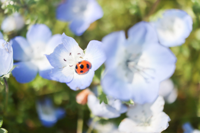 5月隊員賞 みー賞