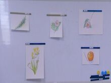 写真：受講者の作品