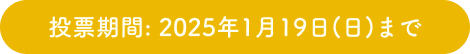 投票期間