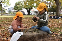 切り株で木の実を並べて楽しむ園児