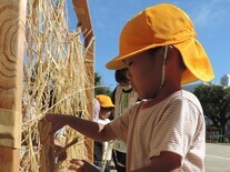 刈った稲をおだがけする園児