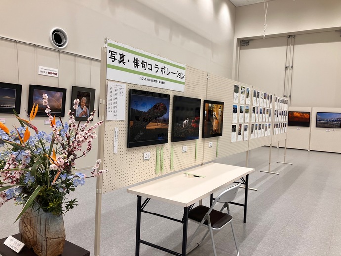 風景や人物など様々な写真が並んでいる様子