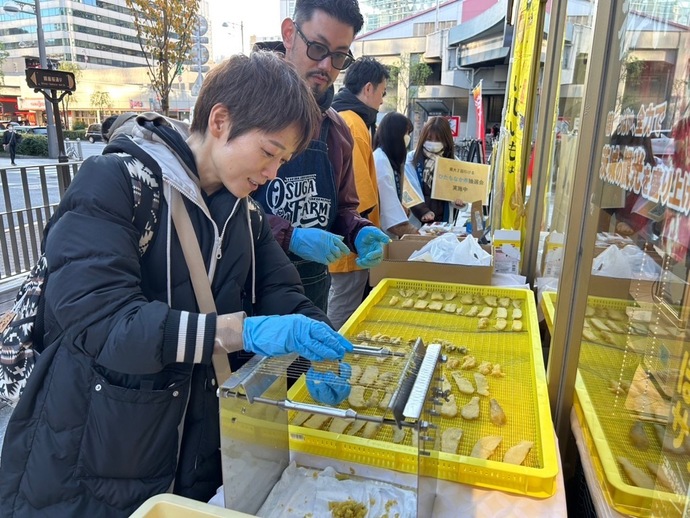 イバラキセンス