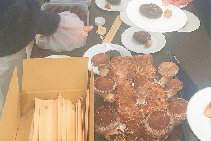 実践報告会の写真