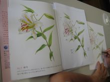 写真：ゆりの下塗りの様子