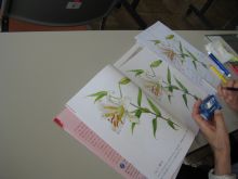 写真：見本と見比べている様子