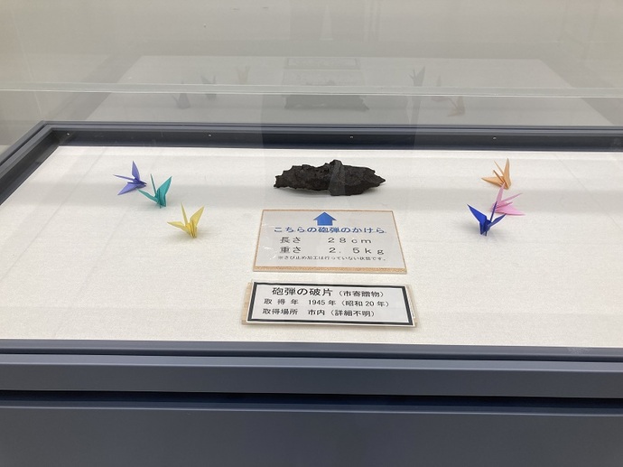 展示の様子4