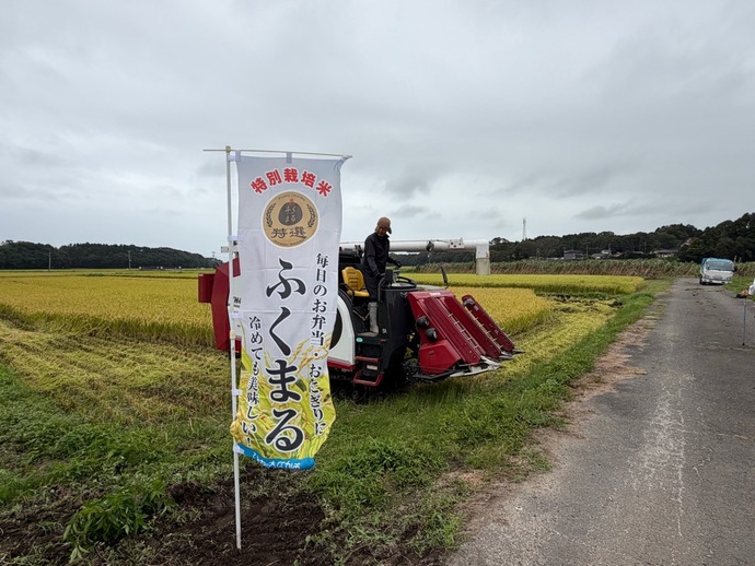 令和8年産特栽・特選ふくまる刈り取り取材(令和8年9月1日)｜ひたちなか